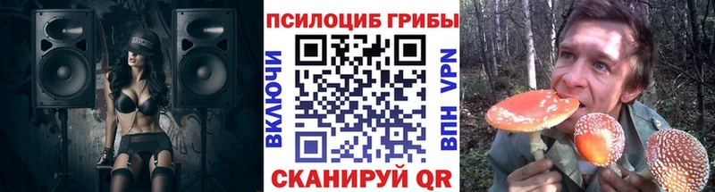 Галлюциногенные грибы Magic Shrooms Вязьма